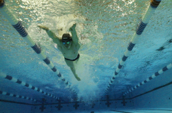 David Gelfand在游泳池里游泳，从下面的水里看。塔夫茨大学的作家和多媒体制作人分享了他们最喜欢的2020年作品。