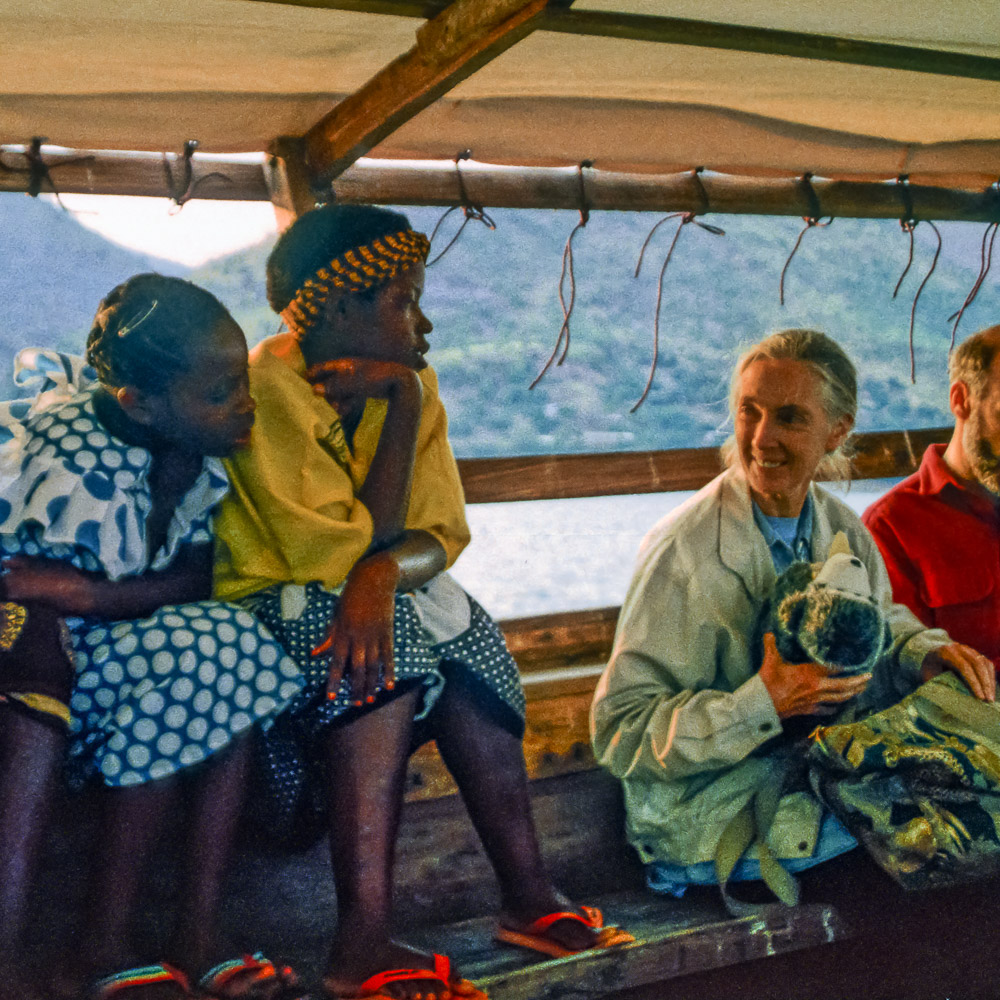 1995年，珍·古道尔与坦桑尼亚贡贝溪研究中心附近的当地人呆在一起。图片:克里斯托弗惠蒂尔提供